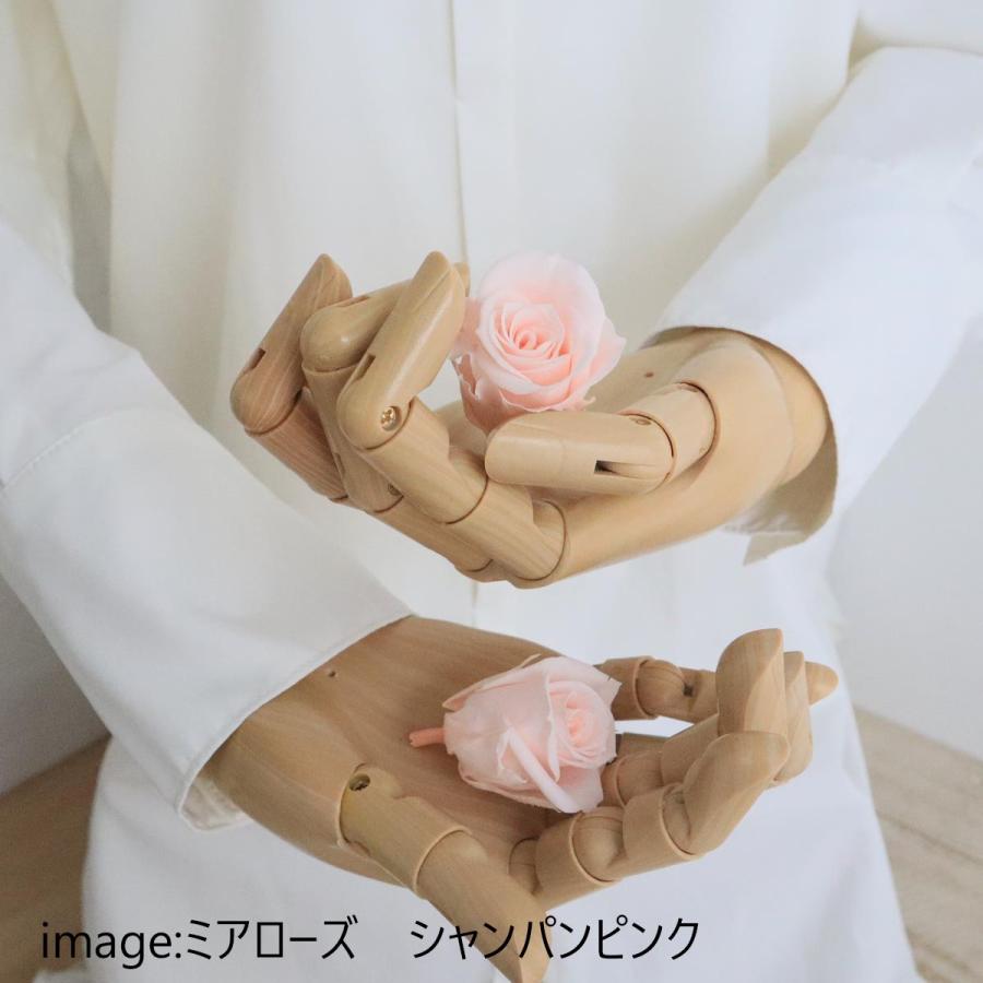 プリザーブド GARDEN PALETTE MONO ミアローズ 8輪 シャンパンピンク
