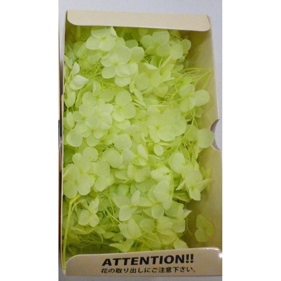 プリザーブド GARDEN PALETTE MONO アナベルアジサイ 約15g ライム