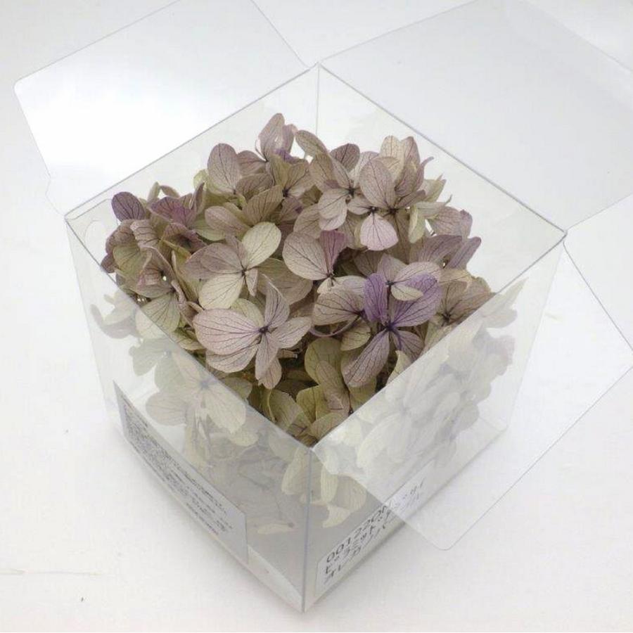 大地農園 プリザーブドフラワー アジサイ ミックスセット 【公式通販】
