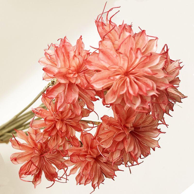 MABATAKI美雨 oto モカブラウン 赤薔薇 花 ドライフラワー 使用1回 ドライ GARDEN PALETTE MONO 姫月下美人 ピーチピンク GPQ-09 ドライ