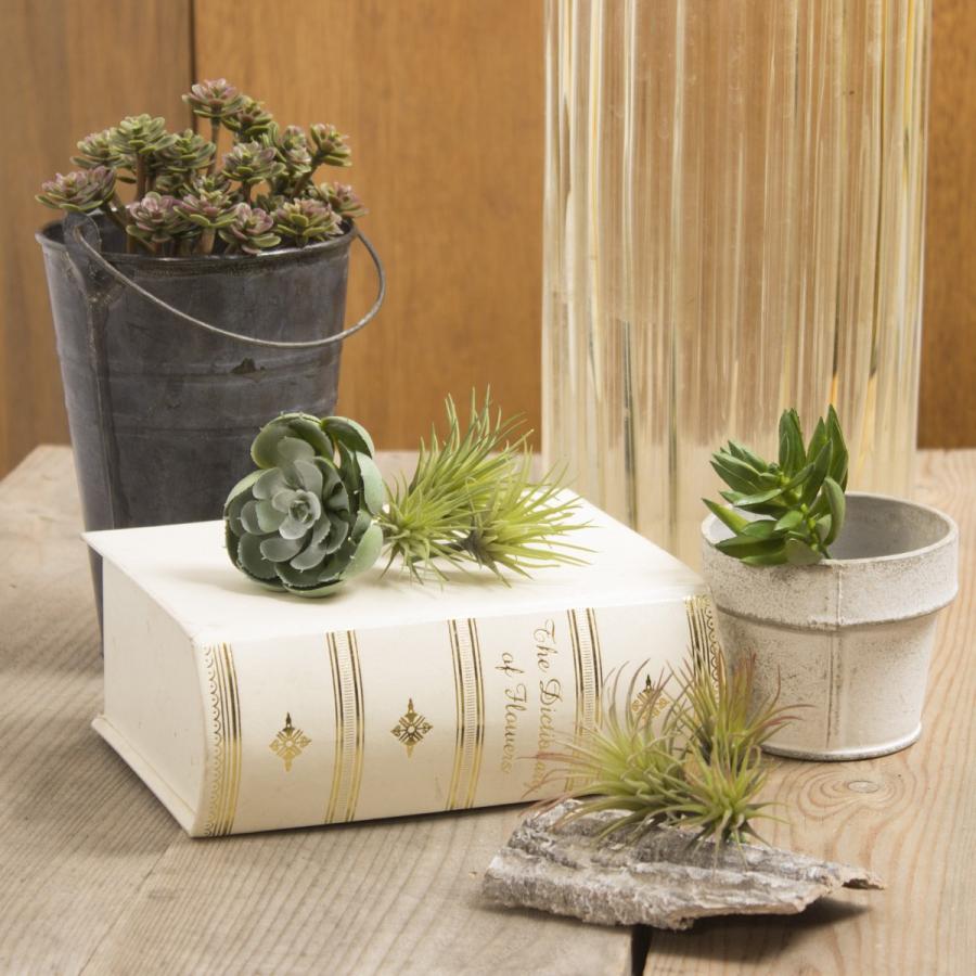 第1位獲得 造花 Ydm ミニチランジアピック ３コイリ グリーン Fg4585 Gr 造花葉物 フェイクグリーン 多肉植物 Wantannas Go Id