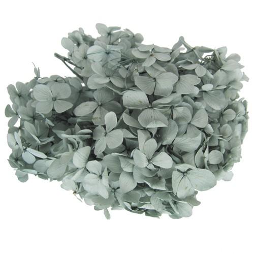 即日 プリザーブド フロールエバー アンデスアジサイ ミストグリーン 約g輪 Fl291 42 あ行 あじさい 紫陽花 030 はなどんやアソシエ 通販 Yahoo ショッピング