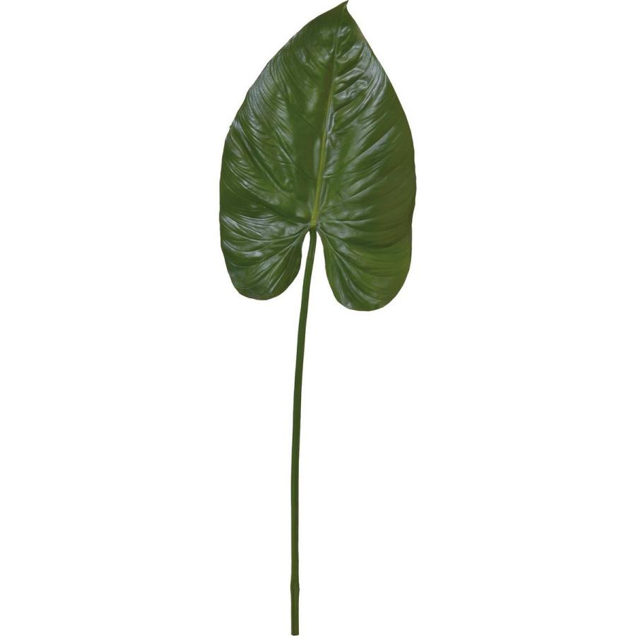 直送 造花 Ydm タロイモリーフ グリーン Fg 41 Gr 返品 代引 キャンセル不可 造花葉物 フェイクグリーン その他の造花グリーン 030 はなどんやアソシエ 通販 Yahoo ショッピング