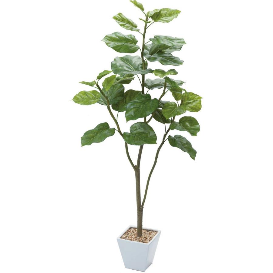 絶対一番安い 直送 人工観葉植物 Ydm ウンベラータ グリーン Gla 1437 Gr 返品 キャンセル 人工観葉植物 高さ 150cm 残りわずか Relaxklub Eu