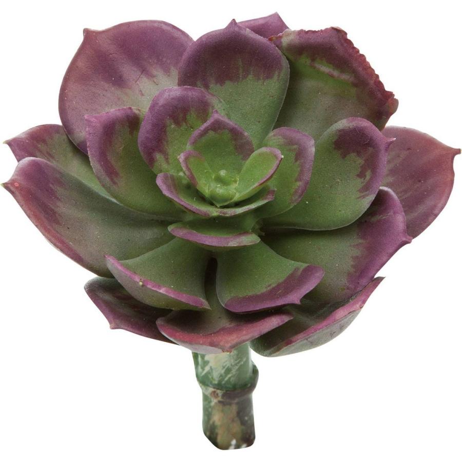 造花 Ydm エケベリアピック バーガンディー Fg 4991 Bur 造花葉物 フェイクグリーン 多肉植物 激安通販専門店