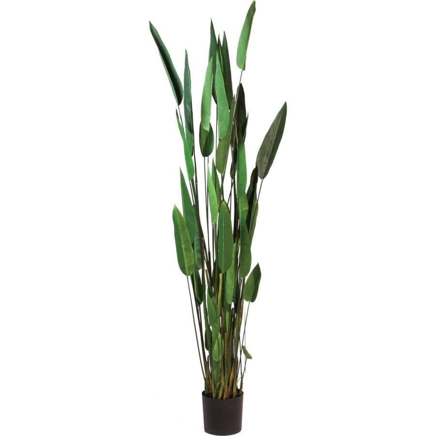 直送 人工観葉植物 YDM カンナ GLP-1513 ※返品 代引 キャンセル不可