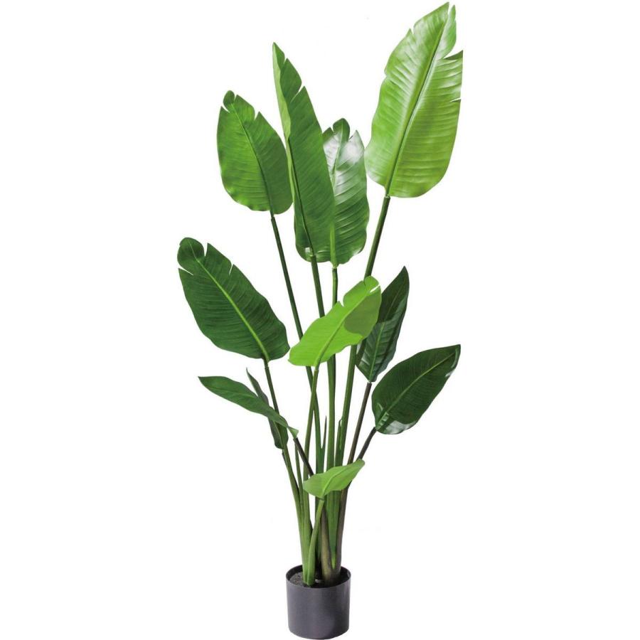 人工観葉植物 高さ〜150cm直送 人工観葉植物 YDM 120CMオーガスタ グリーン GLP-1520-GR ※返品 代引不可 人工観葉植物 高さ〜150cm