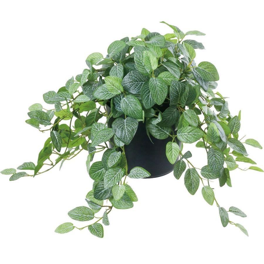 日限定08 人工観葉植物 YDM フィトニアポット グリーン GLA-1519-GR