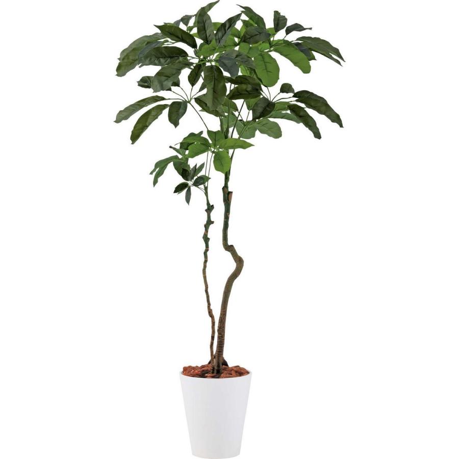 直送 人工観葉植物 YDM ブラッサイア1．7ｃｍ GLPT-220 ※返品 代引 キャンセル不可 造花葉物、フェイクグリーン 造花 人工観葉植物 卓上ポット
