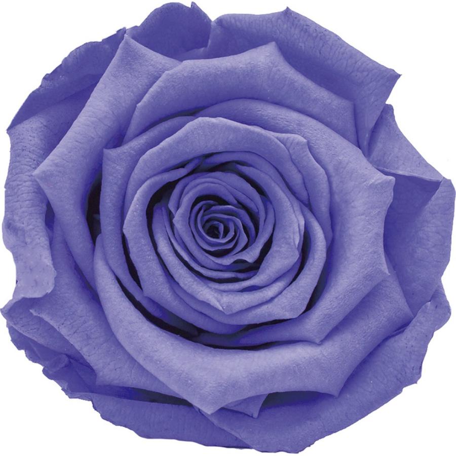 訳あり特価】florever プリザーブドフラワーセット 6箱 プリザーブド