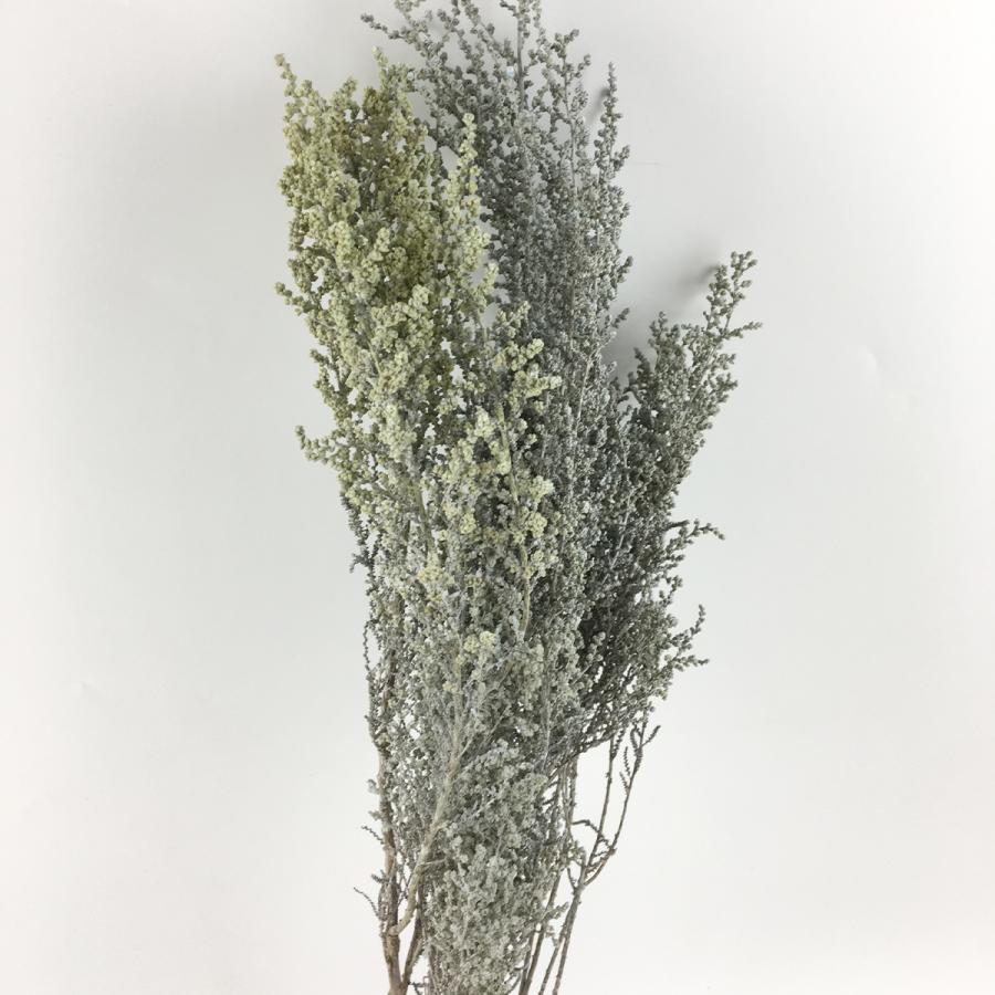 プリザーブド 大地農園 ソフトストーベ 約50g ウォッシュラベンダー 01760-412 か行 小花 :034-00117:はなどんやアソシエ - 通販 - Yahoo!ショッピング プリザーブド 大地農園 ソフトストーベ 約50g ウォッシュラベンダー 01760-412 か行 小花 :034-00117:はなどんやアソシエ - 通販 - Yahoo!ショッピング