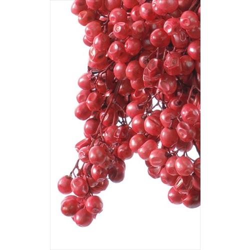 ディズニープリンセスのベビーグッズも大集合 プリザーブド 大地農園 ペッパーベリー 55ｇ レッド 300 プリザーブド実もの