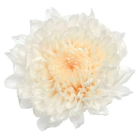 プリザーブド 大地農園 小菊 12輪 白 03680-010 プリザーブドフラワー 