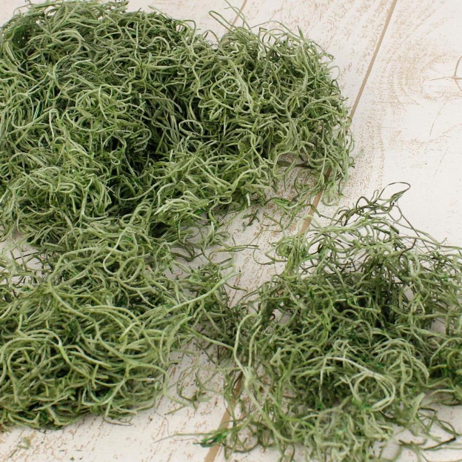 プリザーブド 大地農園 スパニッシュモス 小袋 50g グリーン 加工