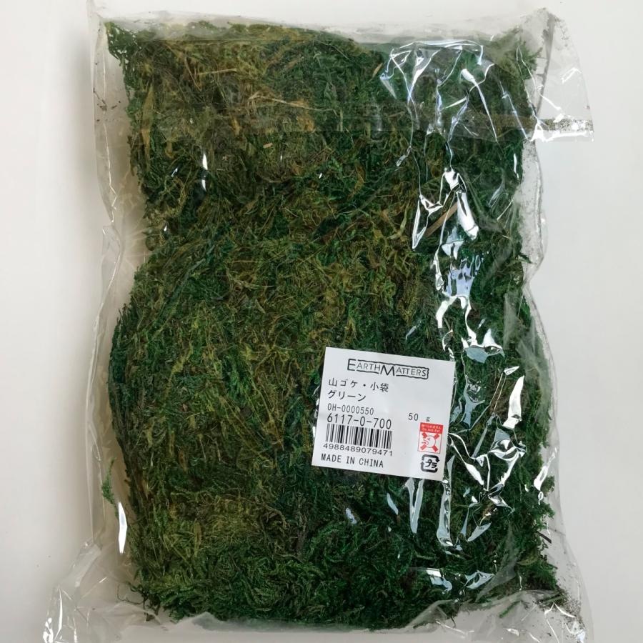 ドライ 大地農園 山ゴケ 小袋 50g グリーン 61170-700 ドライ葉物