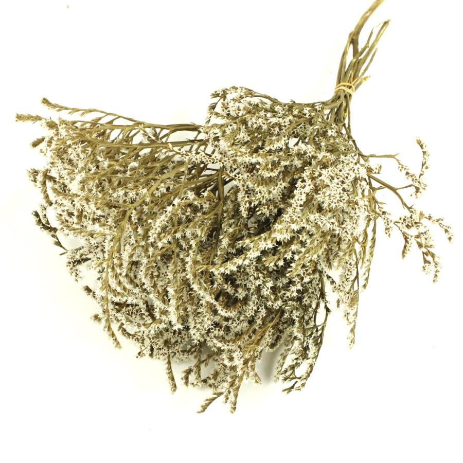 ドライ 大地農園 タタリカ 約45g N 02010-000 ドライフラワー花