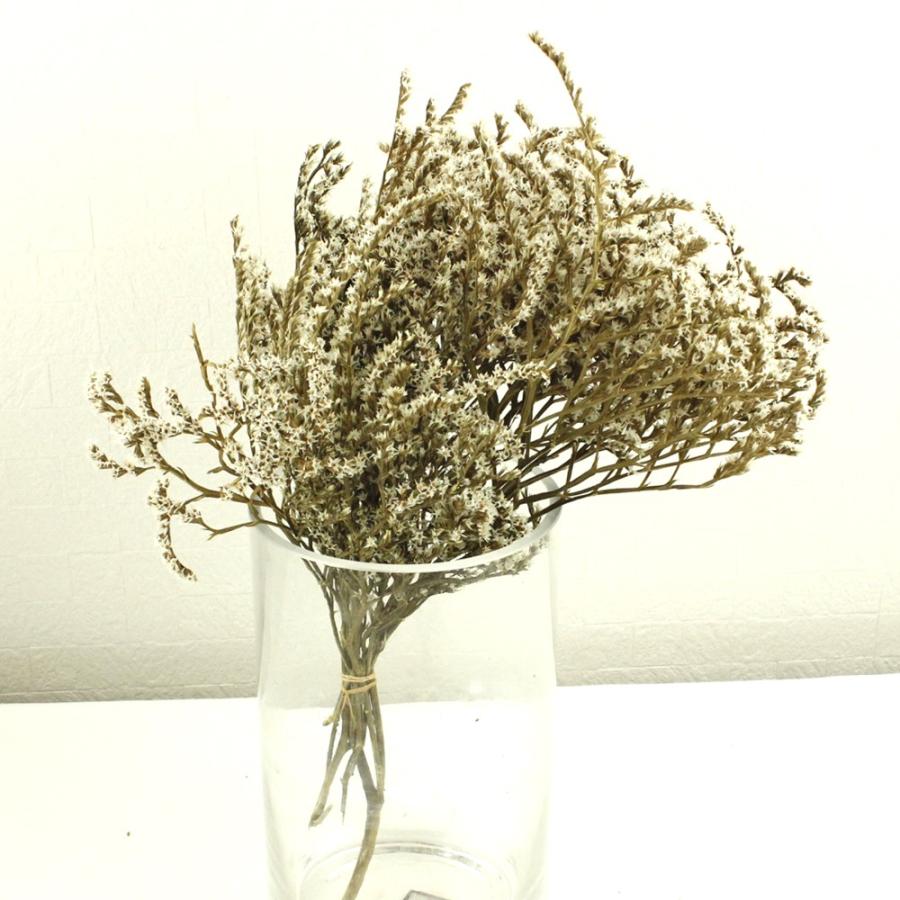ドライ 大地農園 タタリカ 約45g N 02010-000 ドライフラワー花材