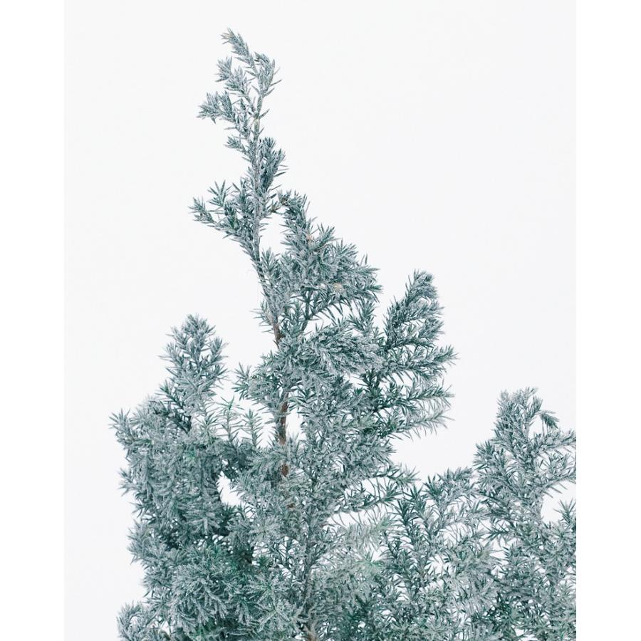 プリザーブド 大地農園 ソフトヒムロスギ 約60g フロッキーグリーン