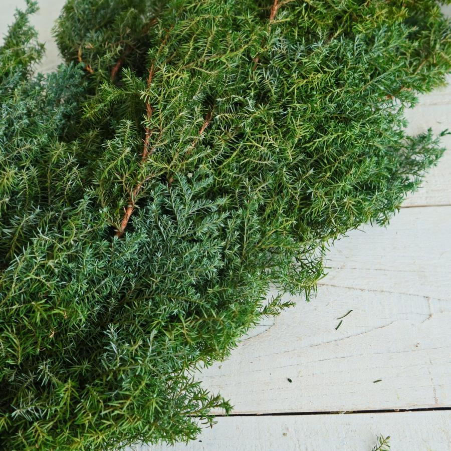 プリザーブド 大地農園 ヒムロスギ 120g フレッシュグリーン 01320-730