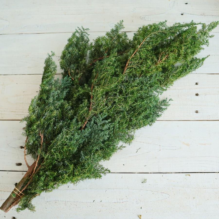 プリザーブド 大地農園 ヒムロスギ 120g フレッシュグリーン 01320-730