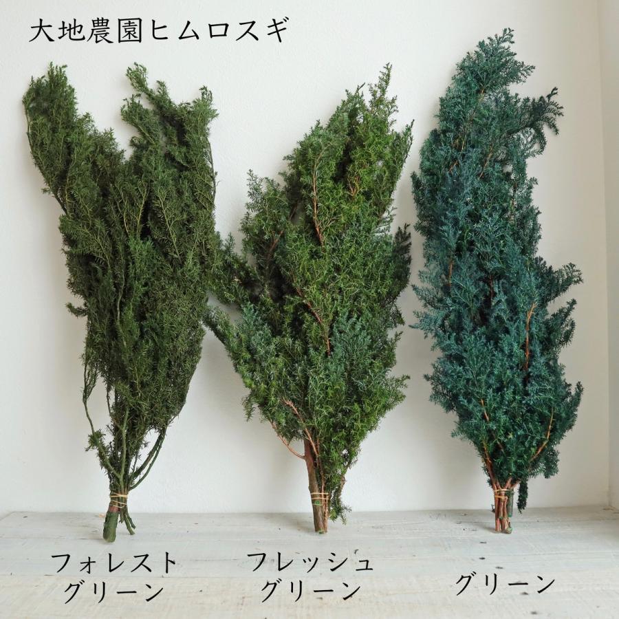 フレッシュ ヒムロスギ 【公式通販】