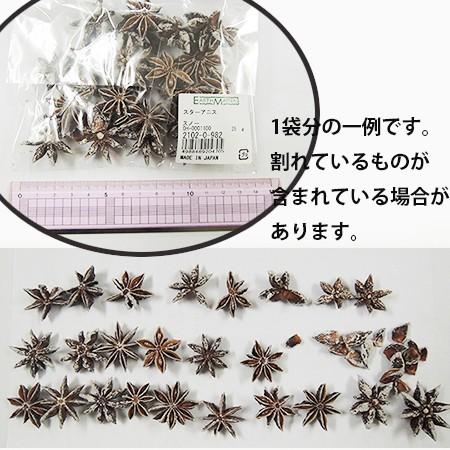 ドライ 大地農園 スターアニス 35g スノー 21020-982 ドライ実物 