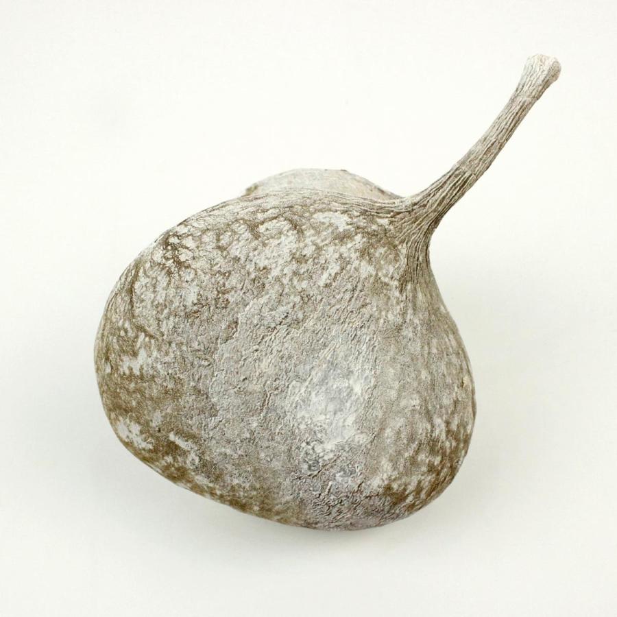 ドライ 大地農園 ブッダナッツ アースデコ 2個 ウォッシュホワイト