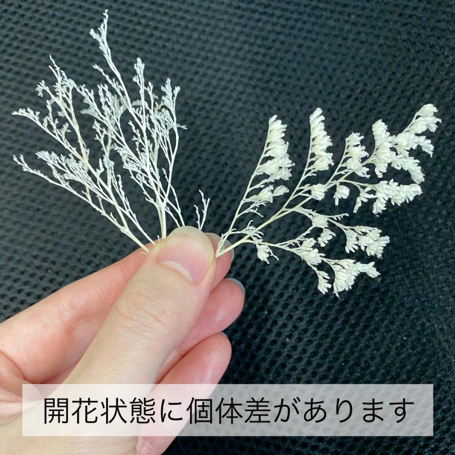 プリザーブド 大地農園 カスピア 約20g ウォーターブルー 03710-691 