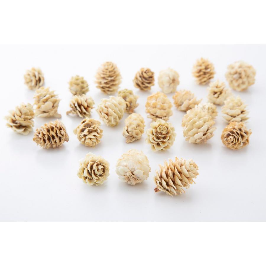 ドライ 大地農園 カラ松 65g ナチュラルホワイト 24121-021 ドライ