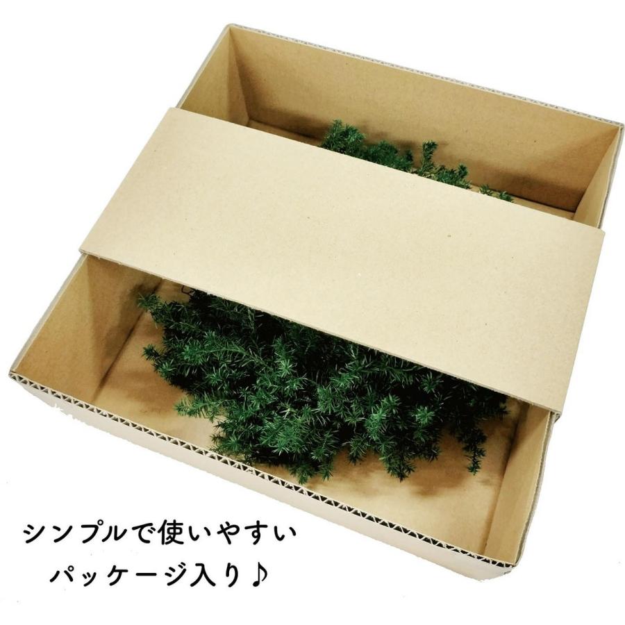 ヒムロスギ☆ご予約お問い合わせページ 森のリース・ヒムロスギ・S フォレストグリーン MR321-780 ドライ