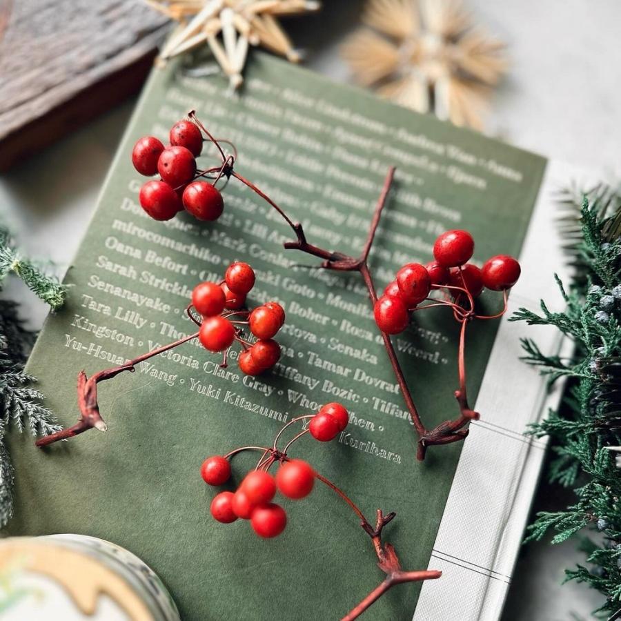 ドライ 大地農園 サンキライの実 チップ 約15g レッド 22210-300