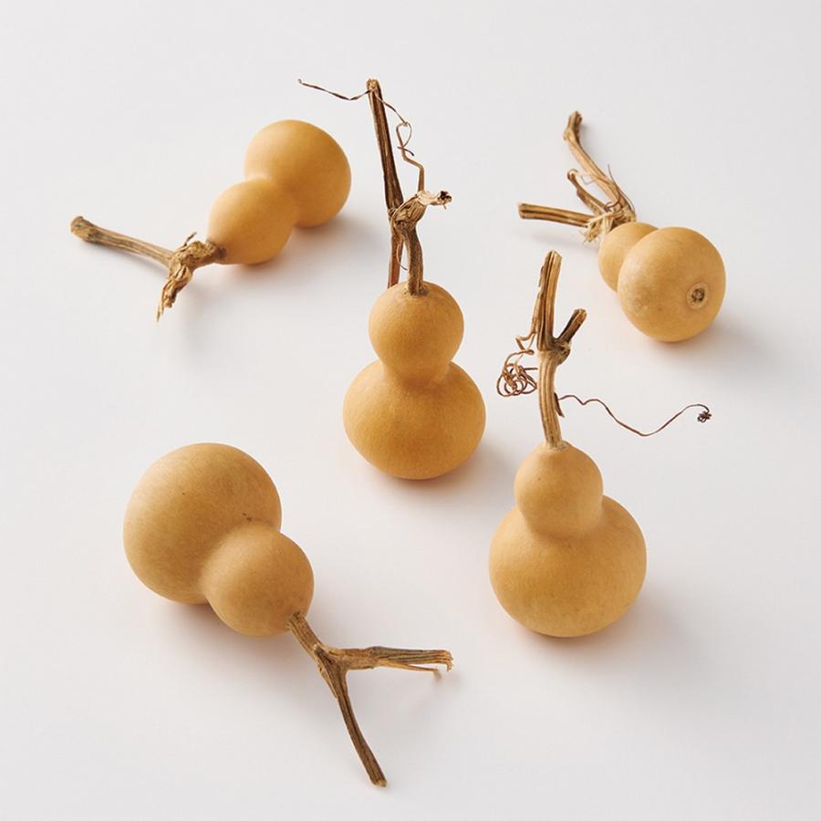 ドライ 大地農園 豆ひょうたん 5個 N 22330-000 ドライ実物＆フルーツ