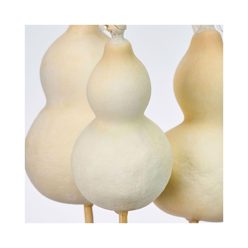 ドライ 大地農園 豆ひょうたんピック3本 オフホワイト 22350-011