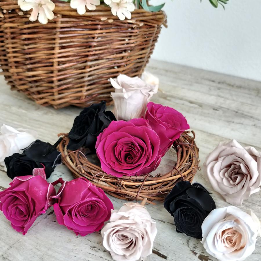 プリザーブド 大地農園 ビビアン ローズカラーアソート24輪 2025AW新色