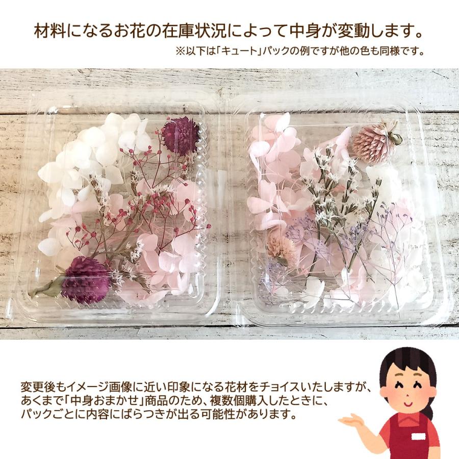 日限定10 フラワーアソートパック littlePetit ナチュラル はなどんや