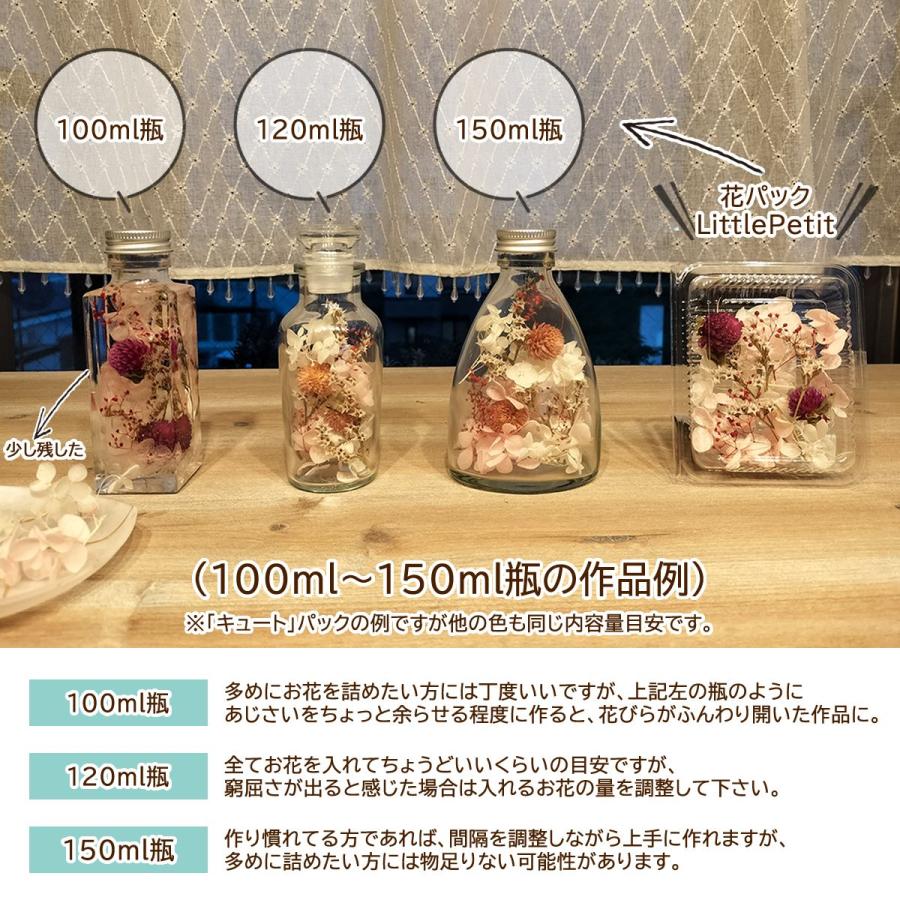 日限定10 フラワーアソートパック littlePetit ナチュラル はなどんや 