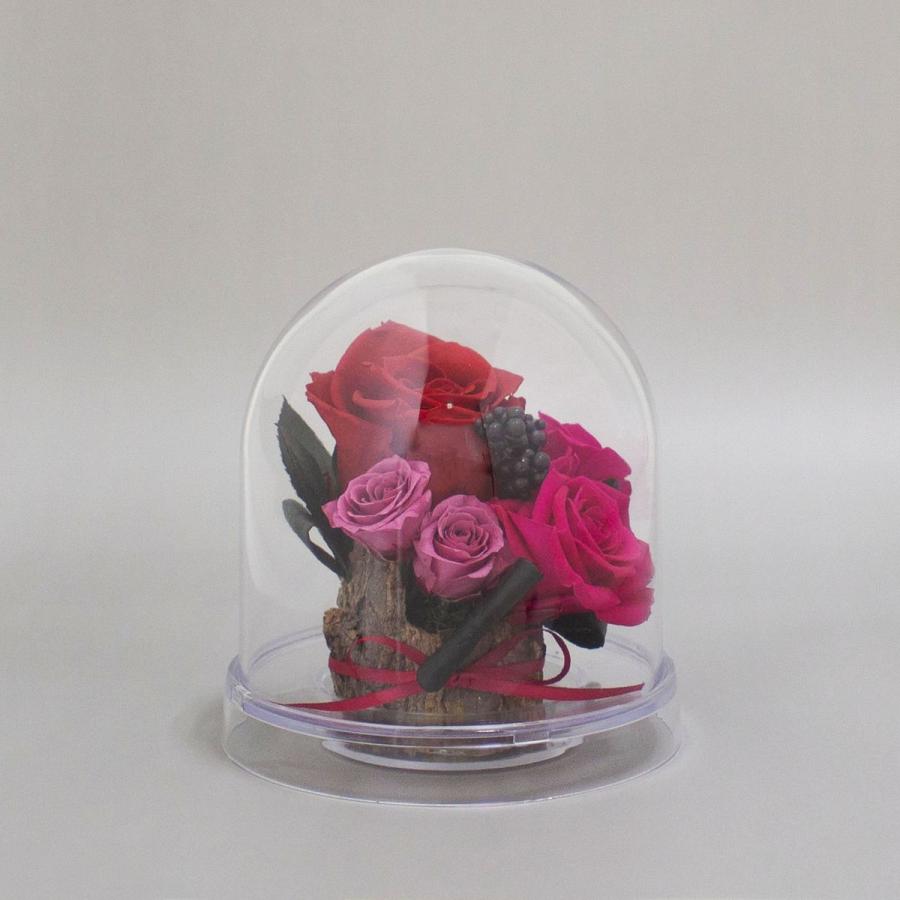 クレイ Aero Dome_13φ20H BLACK 817-003-800 花器 花瓶 ドーム、ガラス