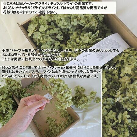 ドライ 東花 あじさいナチュラル 約6輪 60055 ドライフラワー花材 
