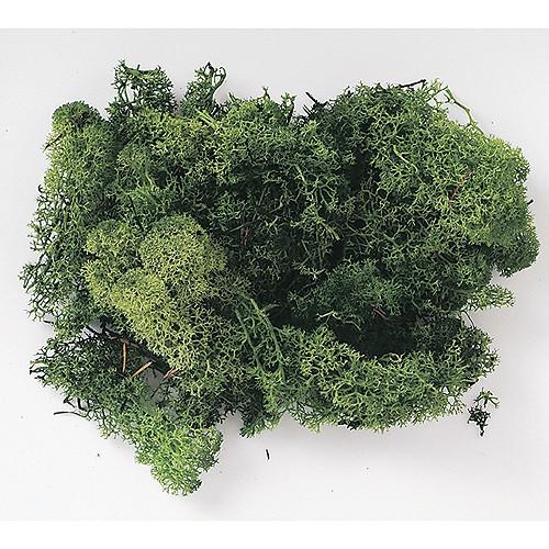 プリザーブド 東花 フィンランドモス モスグリーン 約40g 71107