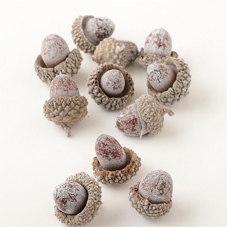 ドライ 東北花材 どんぐり 25コ入り ミルキーホワイト ドライ実物 フルーツ 木の実 049 はなどんやアソシエ 通販 Yahoo ショッピング