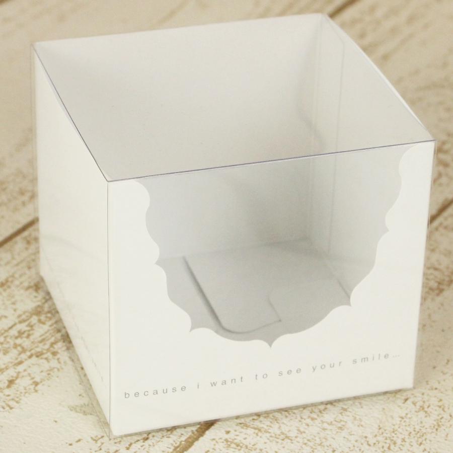 ローズアーチケース透明スリーブセット はなどんやオリジナル 10枚