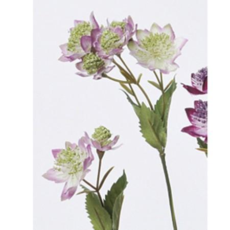 造花 アスカ アストランティア 8 ラベンダ A 006 造花 花材 あ行 アストランチア 051 095 はなどんやアソシエ 通販 Yahoo ショッピング