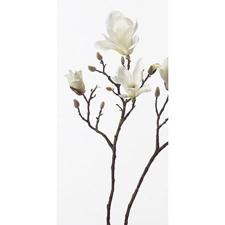 輸入 造花 アスカ マグノリア 3 つぼみ 7 クリームホワイト A 11 花材 ま行 モクレン 木蓮 マグノリア Cisama Sc Gov Br