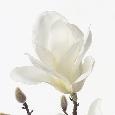 輸入 造花 アスカ マグノリア 3 つぼみ 7 クリームホワイト A 11 花材 ま行 モクレン 木蓮 マグノリア Cisama Sc Gov Br
