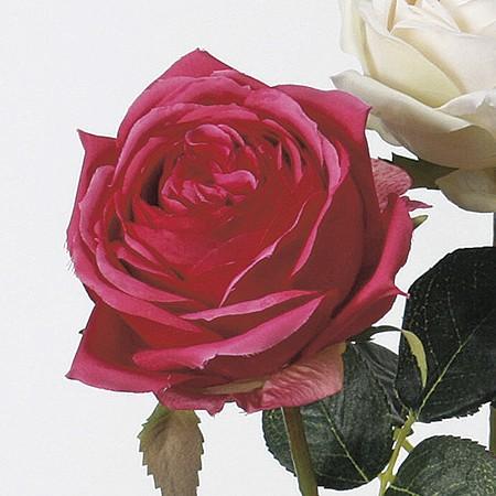 造花 アスカ ローズ ビューティ A-31829-22 花材「は行」 バラ : は