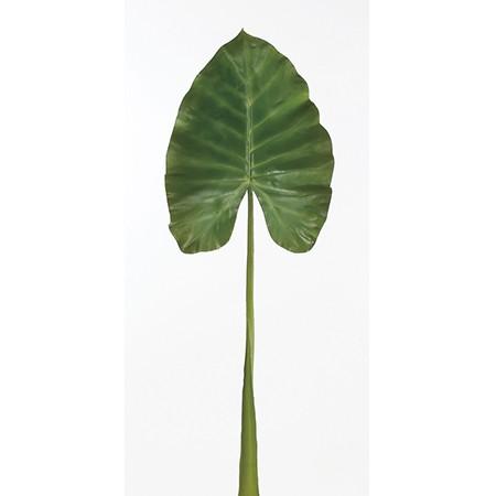 造花 アスカ アロカシア グリ ン A 494 051a 造花葉物 フェイクグリーン タニワタリ 051 はなどんやアソシエ 通販 Yahoo ショッピング