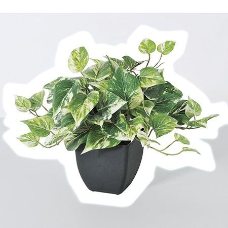 ファクトリーアウトレット 人工観葉植物 アスカ ポトスブッシュ ポット付 ウ ァリゲイトグリ ン A