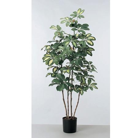 人工観葉植物 アスカ ベビーシェフレラポット　グリ−ン A-50757-051A 人工観葉植物 高さ〜100cm