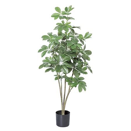 人工観葉植物 アスカ シェフレラポット　グリ−ン A-50852-051A 人工観葉植物 高さ〜100cm