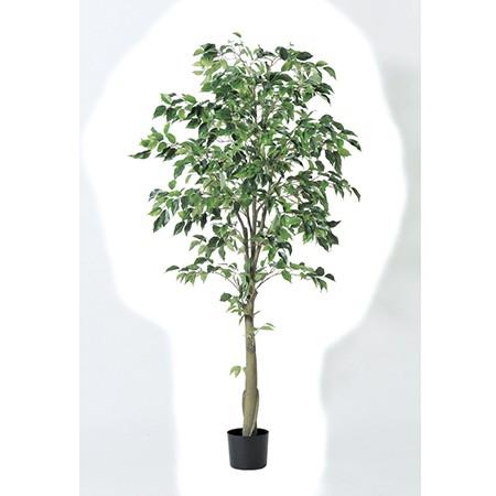 直送 人工観葉植物 アスカ ファイカスツリー　 ポット付 　グリ−ン A-50867-051A※返品代引不可